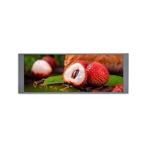 شاشة LCD شريطية 6.86 بوصة، واجهة MIPI 480&times;1280، وحدة LCD ذات شريط طويل 40pin TFT-LCD