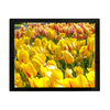  19-Zoll-LCD-Modul mit kapazitivem Touch (PCAP)
